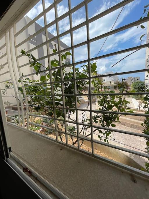 Casa Charm Falaise Munastır Dış mekan fotoğraf