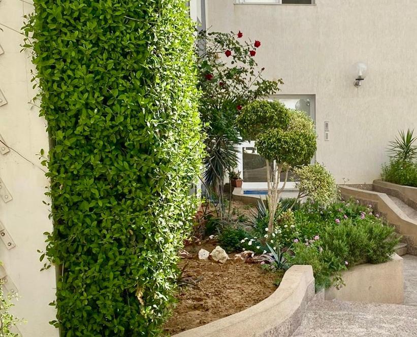 Casa Charm Falaise Munastır Dış mekan fotoğraf
