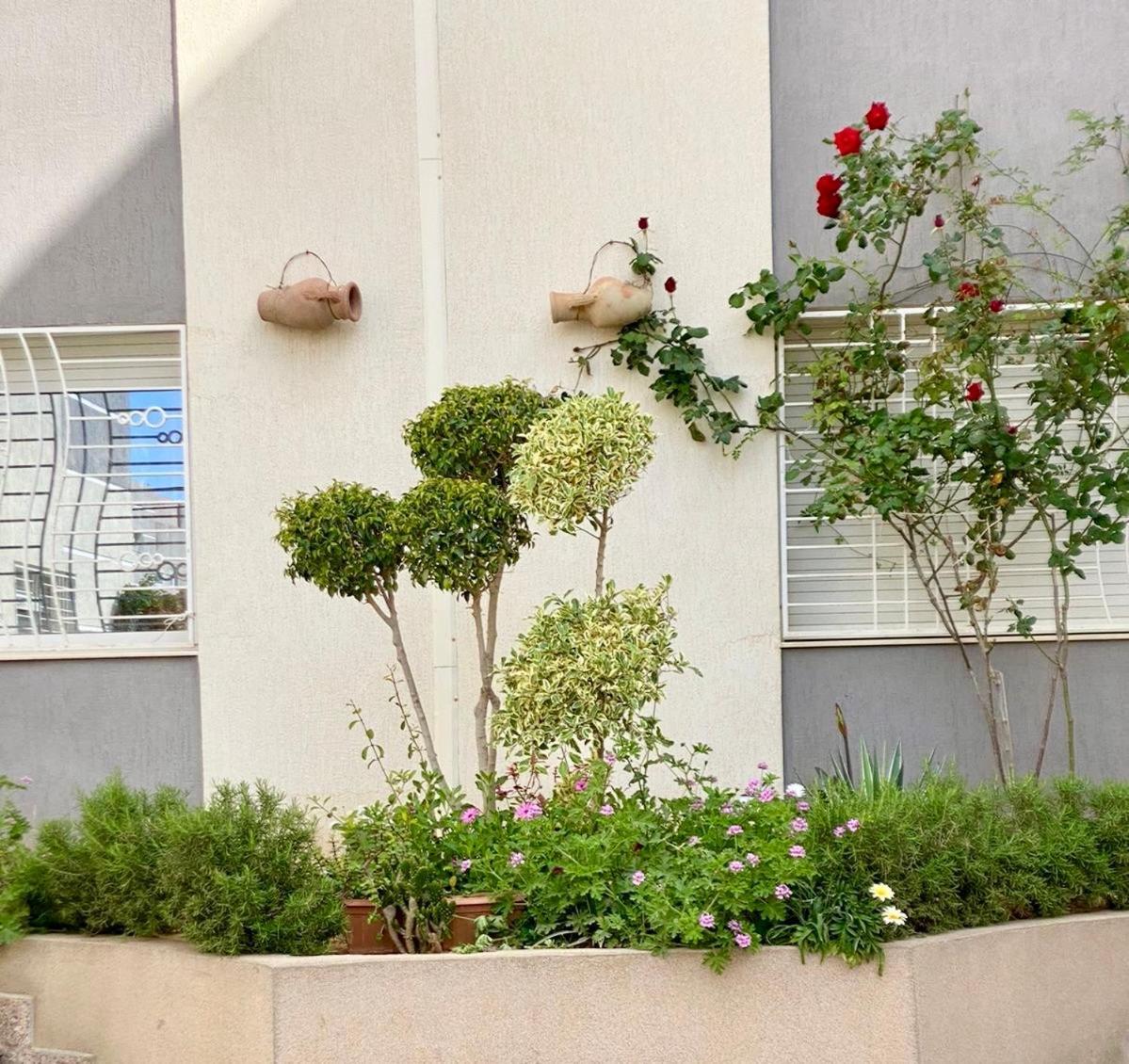 Casa Charm Falaise Munastır Dış mekan fotoğraf